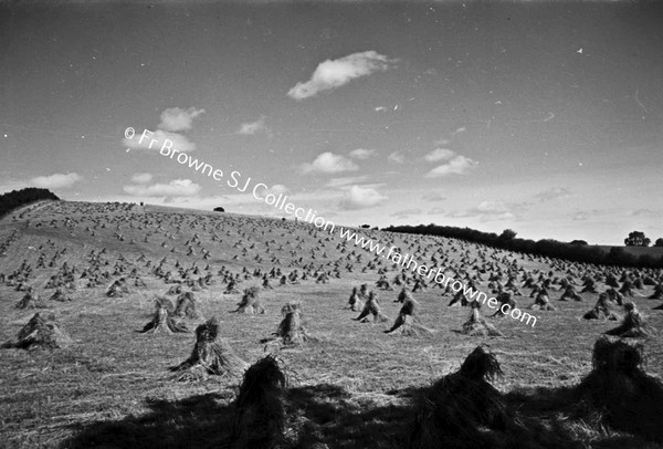 HARVEST SCENES